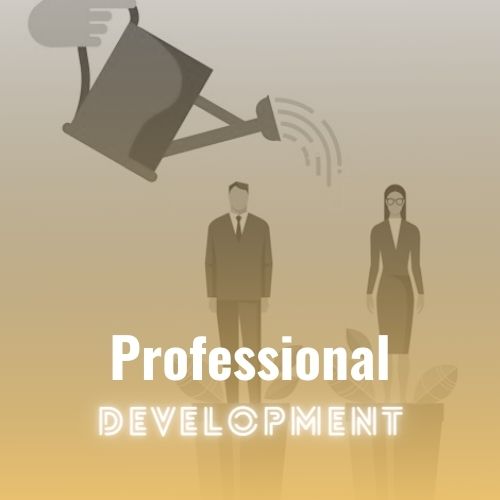 Professional Development Cover